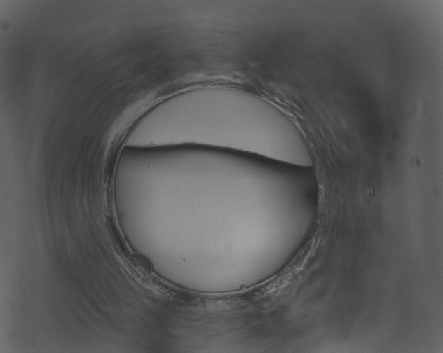 X0000074260149200608250909