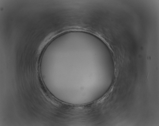 X0000074260151200608250909