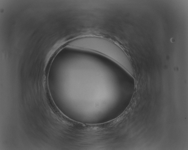 X0000074260152200608250909