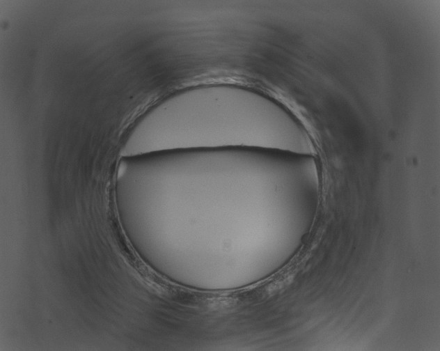 X0000074260153200608250909