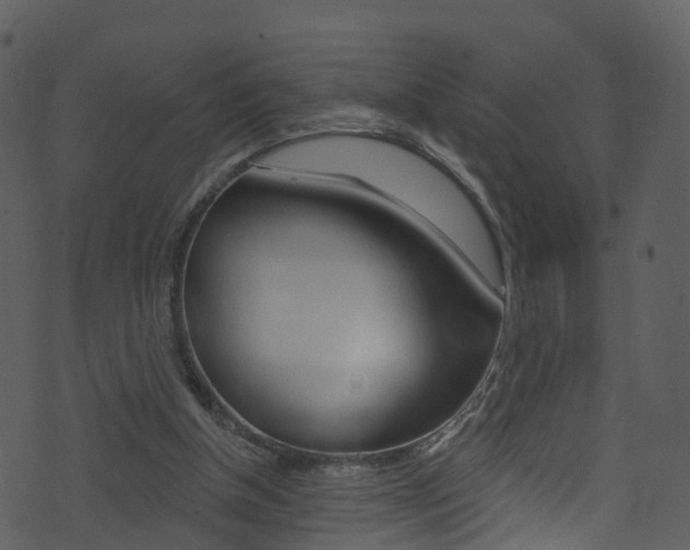 X0000074260154200608250909