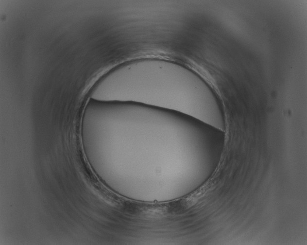 X0000074260155200608250909