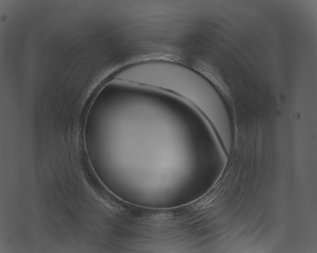 X0000074260156200608250909