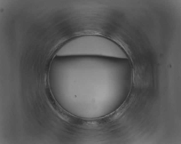 X0000074260157200608250909