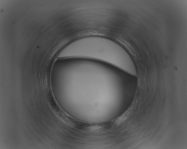 X0000074260158200608250909