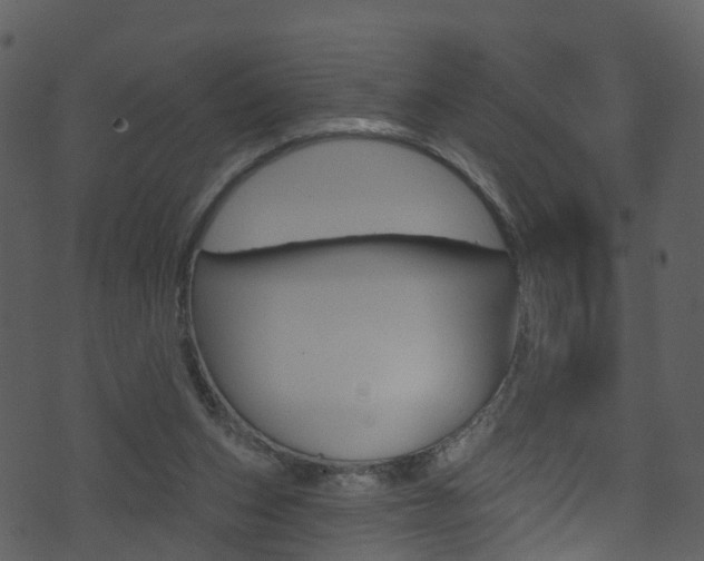 X0000074260159200608250909