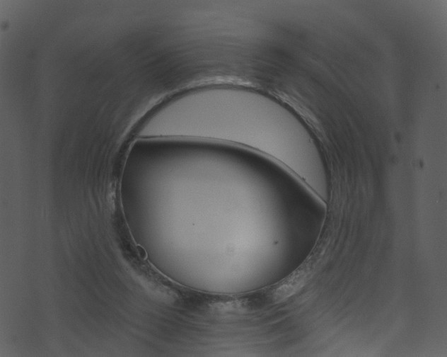 X0000074260160200608250909