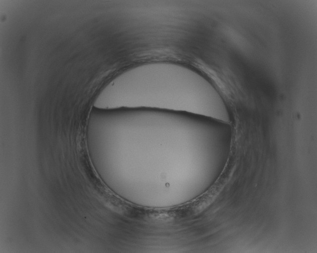 X0000074260161200608250909