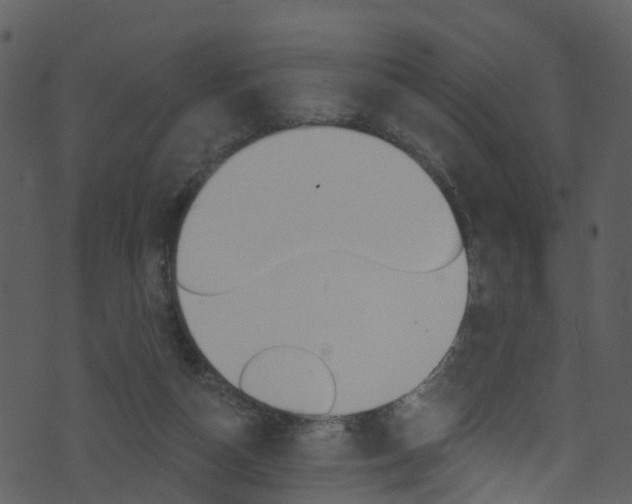 X0000074260162200608250909