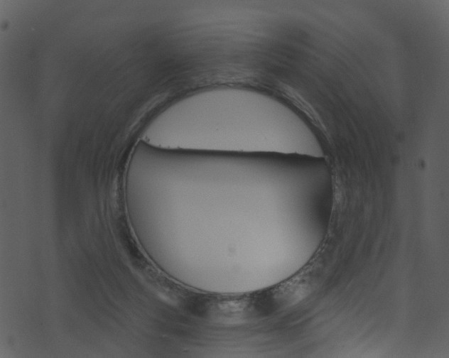 X0000074260163200608250909