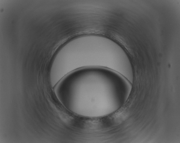 X0000074260164200608250909