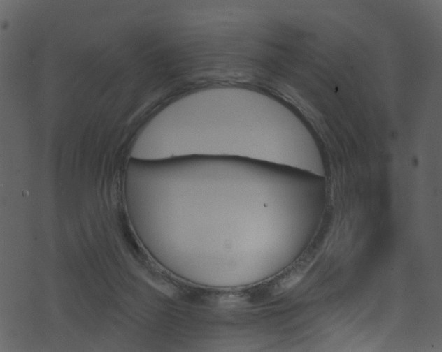 X0000074260165200608250909