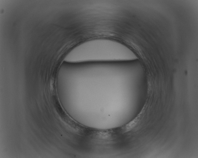 X0000074260166200608250909