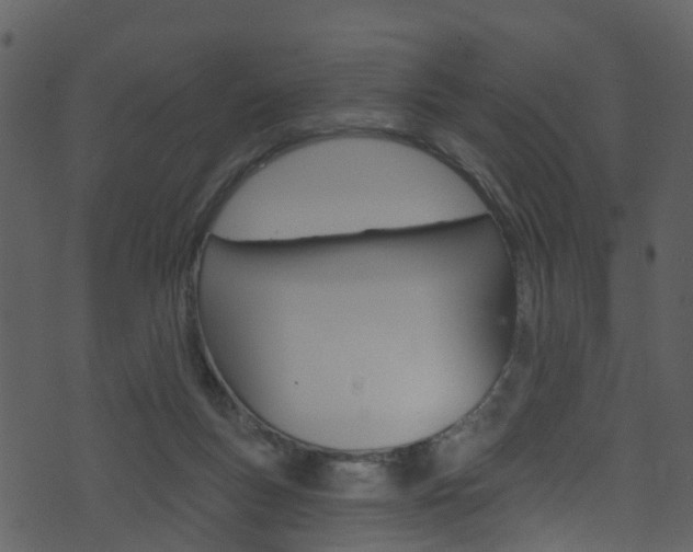 X0000074260167200608250909