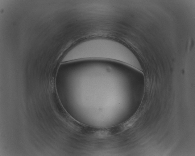 X0000074260168200608250909