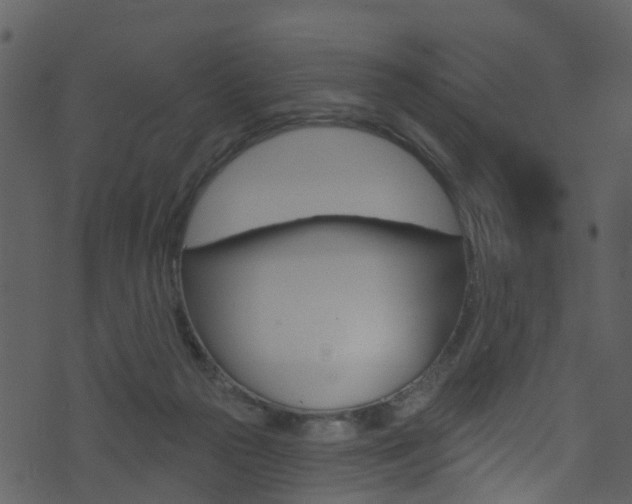 X0000074260169200608250909