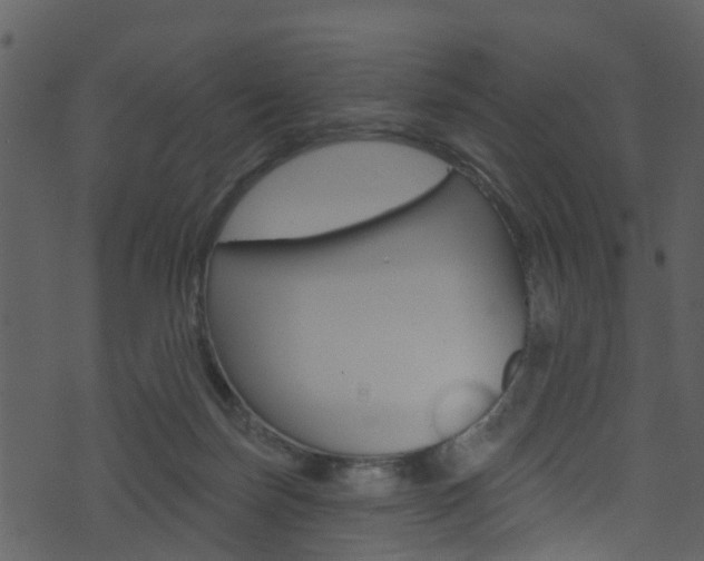 X0000074260171200608250909