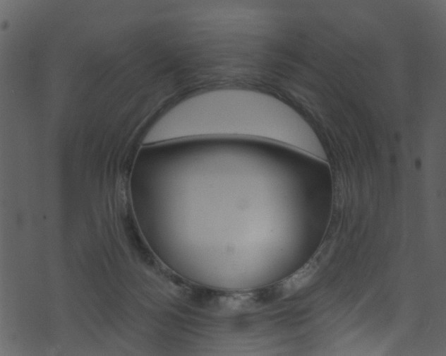 X0000074260172200608250909