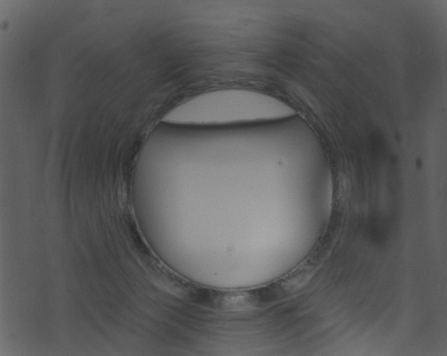 X0000074260173200608250909