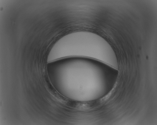 X0000074260174200608250909