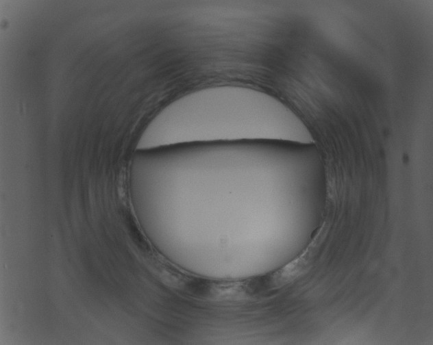 X0000074260175200608250909