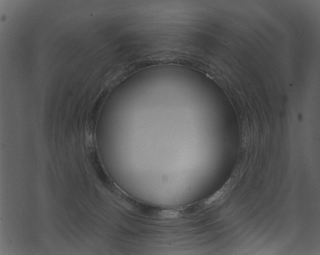 X0000074260176200608250909