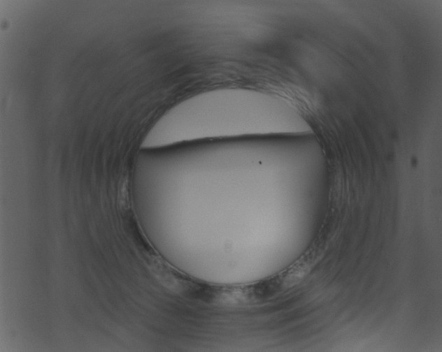 X0000074260177200608250909