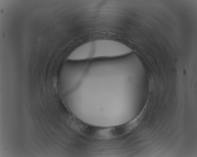 X0000074260178200608250909