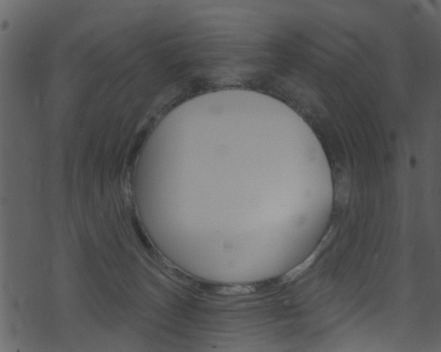 X0000074260179200608250909