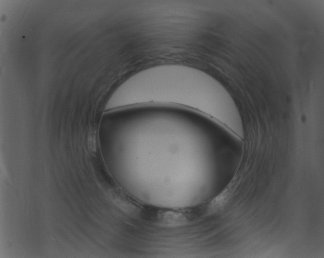 X0000074260180200608250909