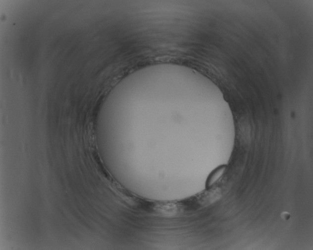 X0000074260181200608250909