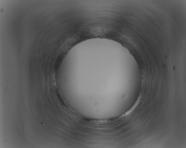 X0000074260182200608250909