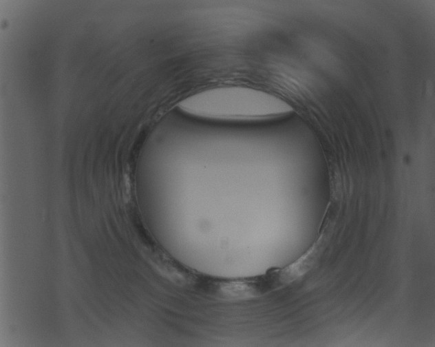 X0000074260183200608250909