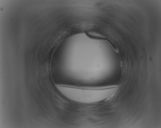 X0000074260184200608250909