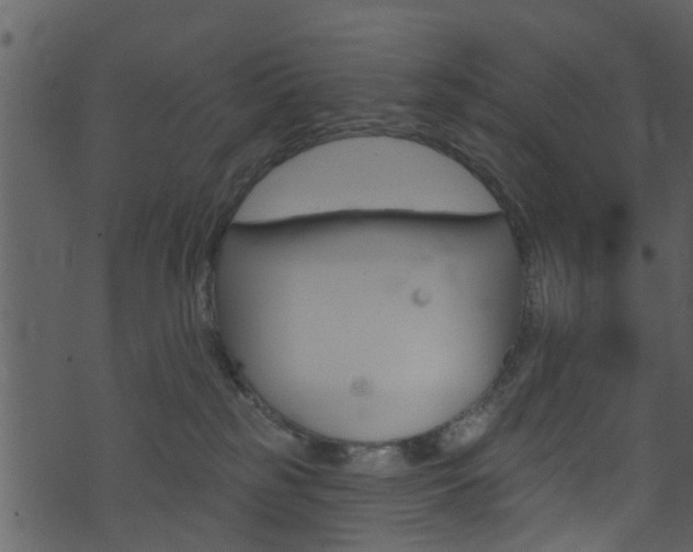 X0000074260185200608250909