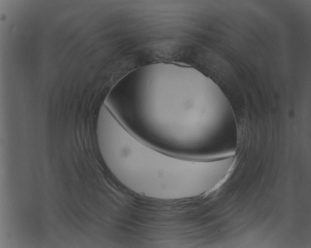 X0000074260186200608250909