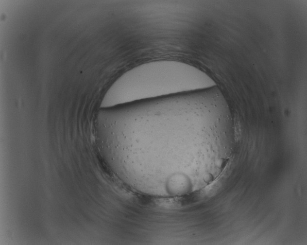 X0000074260187200608250909