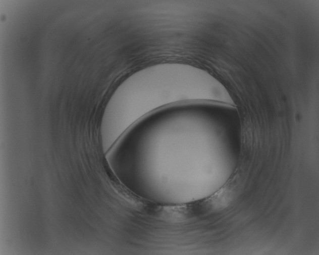 X0000074260188200608250909