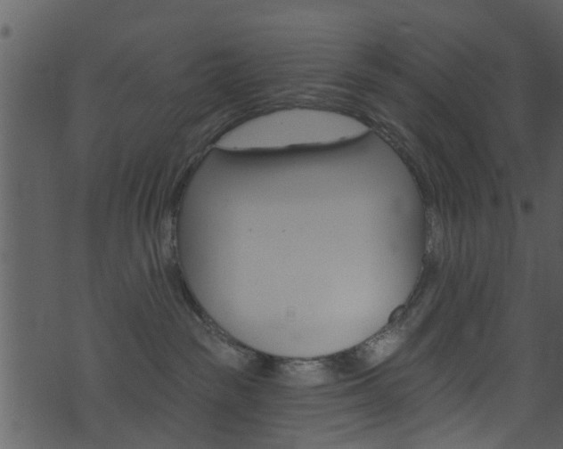 X0000074260189200608250909