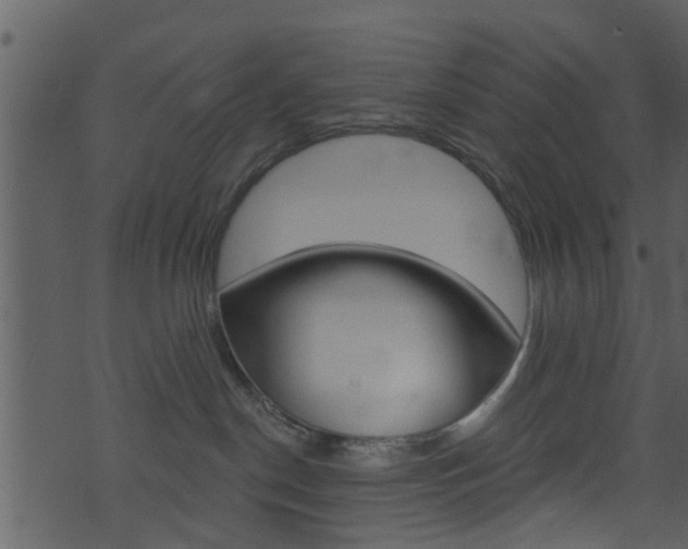 X0000074260190200608250909