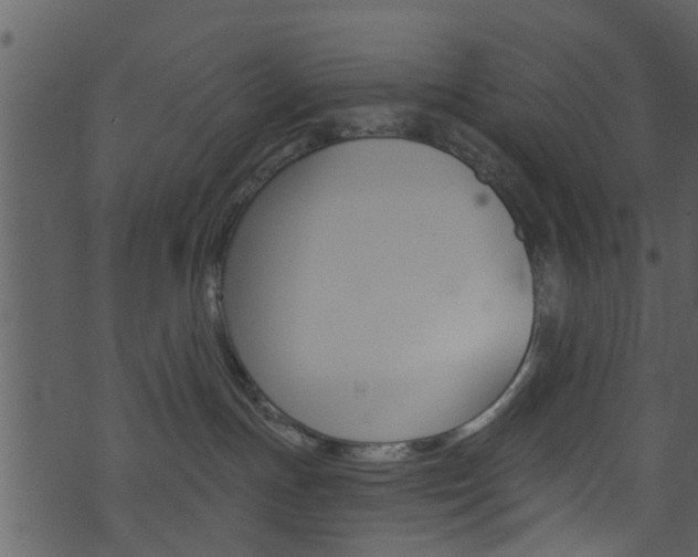 X0000074260191200608250909