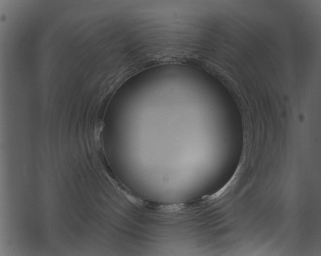 X0000074260192200608250909