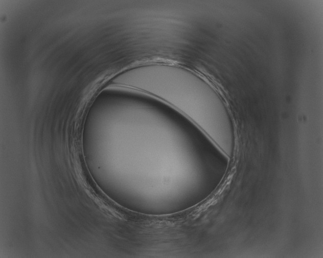 X0000074260193200608250908