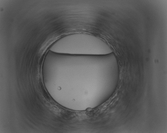 X0000074260194200608250908