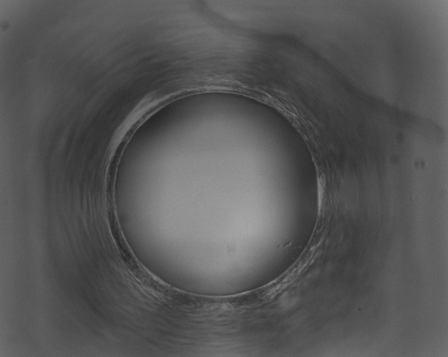 X0000074260195200608250908