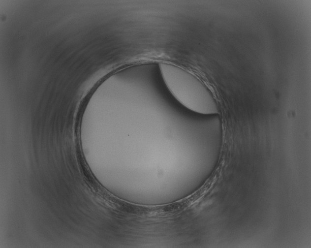 X0000074260196200608250908