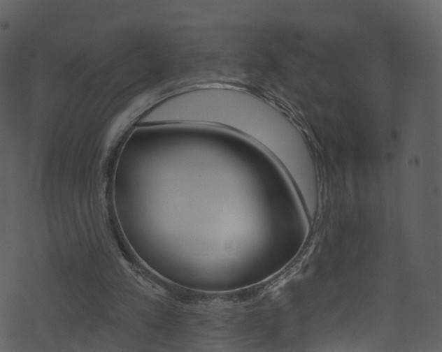 X0000074260197200608250908