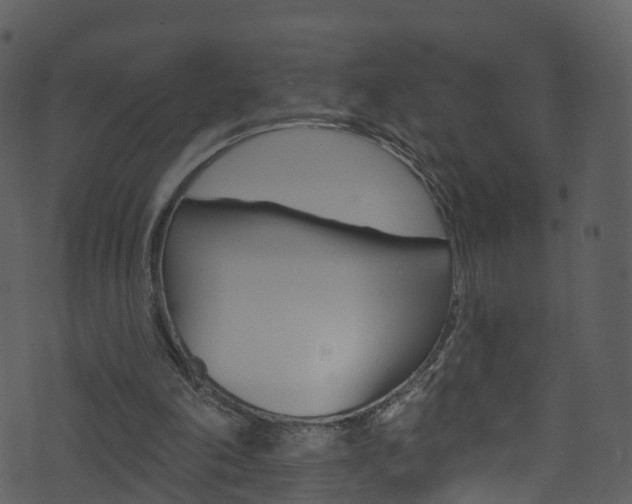 X0000074260198200608250908