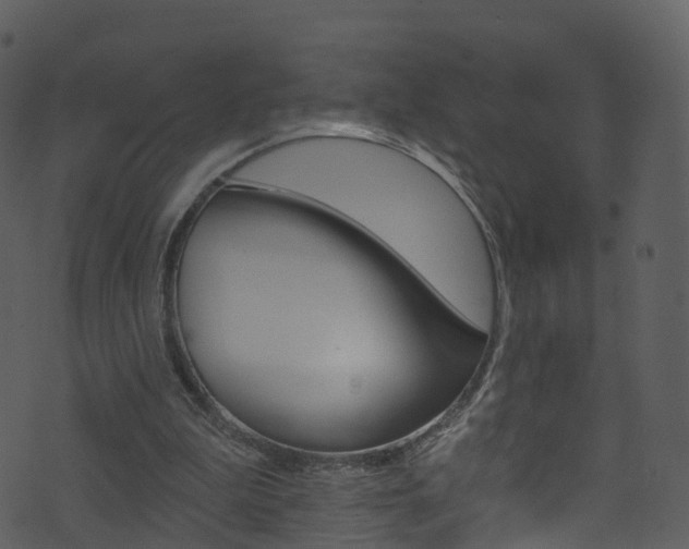 X0000074260199200608250908