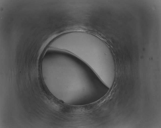 X0000074260200200608250908